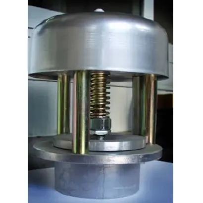 Safety valvemax. 300 mbar | TESE series — TN Group