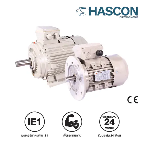 มอเตอร์ไฟฟ้า Hascon รุ่น IE1 — TN Group