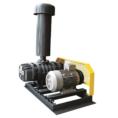 โบลเวอร์ Novax รุ่น Root Blower NVD ( for Disgharge ) — ภาพสินค้า